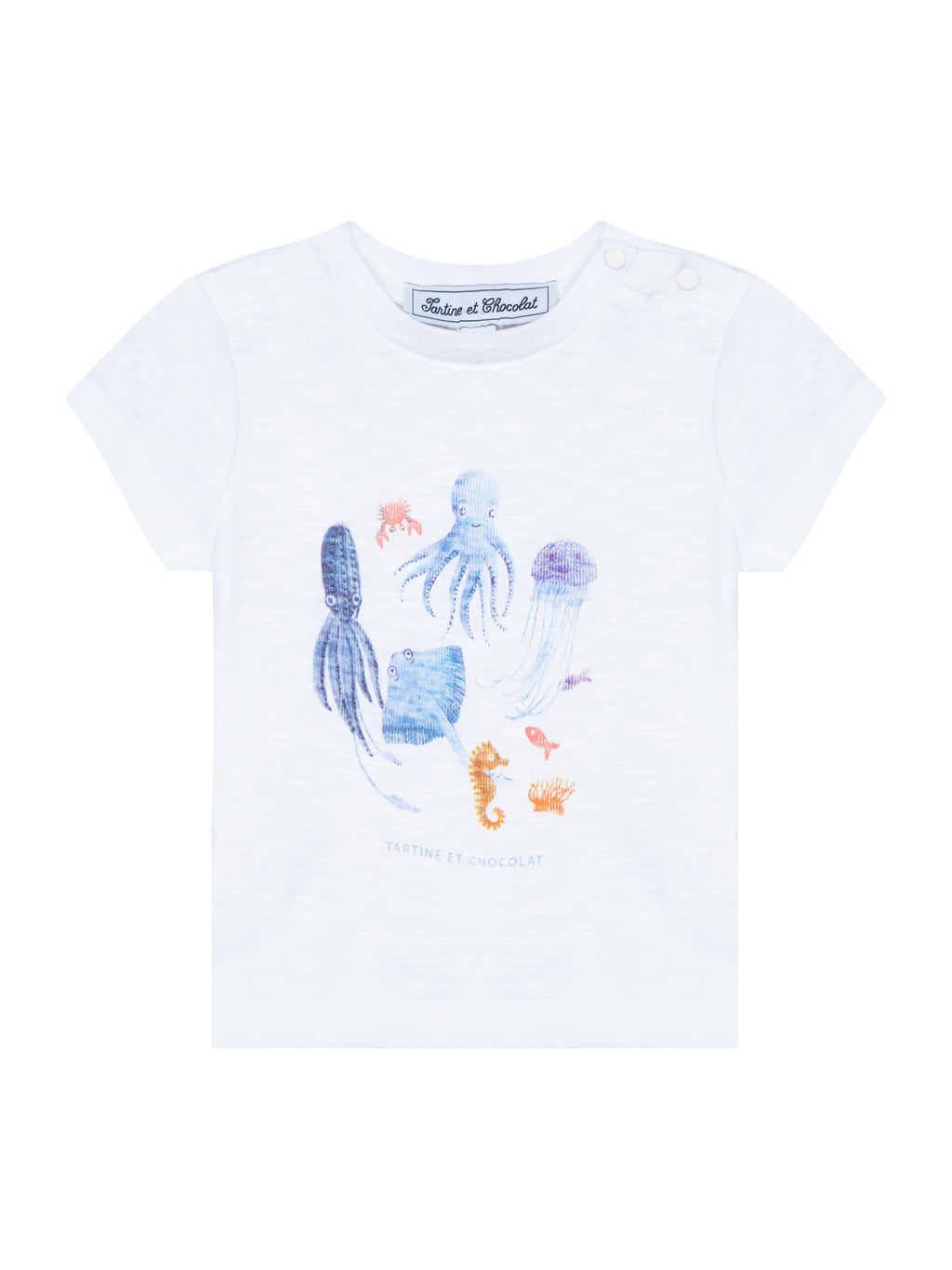 T-shirt - Cotton Blue marine animals
