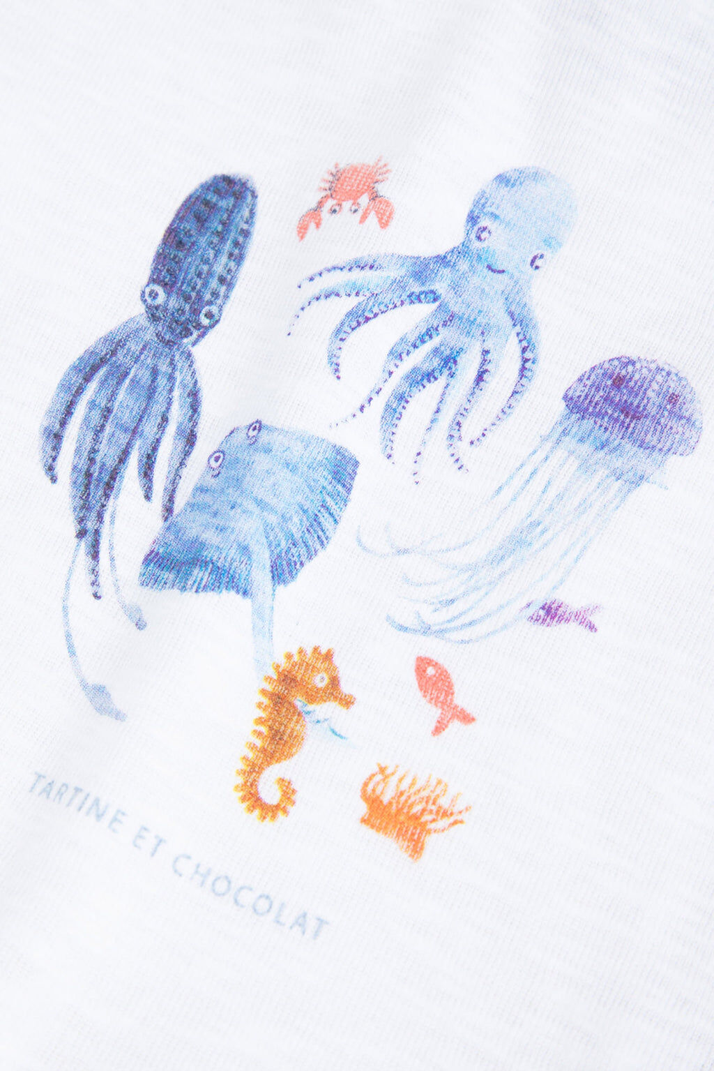 T-shirt - Cotton Blue marine animals