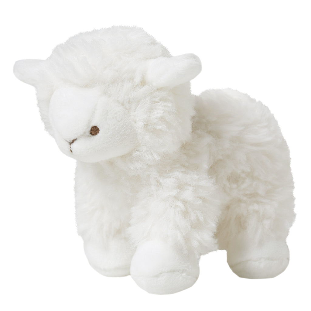 Edmond le mouton - 12 cm écru