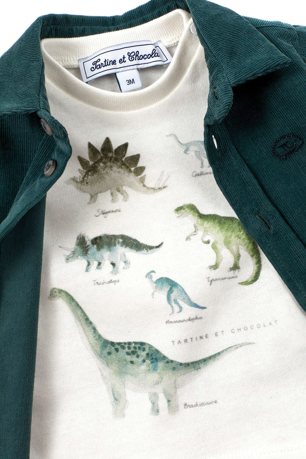 Tee-shirt - Jersey illustration dinosaure